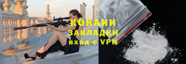 прущие грибы Абинск