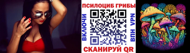 Псилоцибиновые грибы MAGIC MUSHROOMS  Сураж 